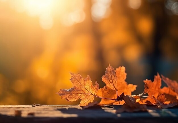 Beautiful autumn landscape with falling leaves natural background colorful foliage maple in park