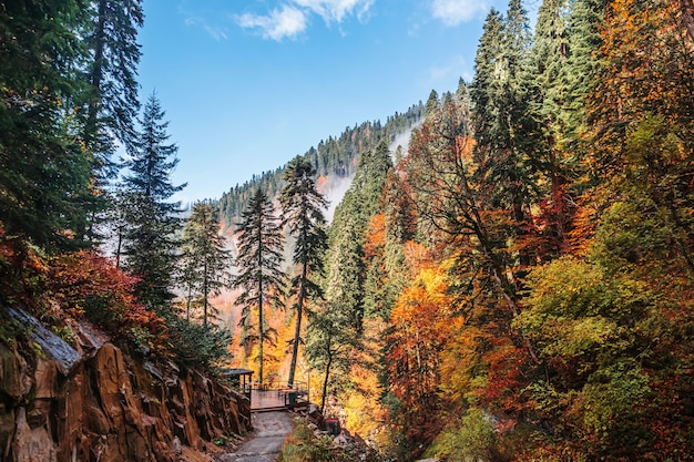 Красивый осенний пейзаж с лесной дорогой. Осень в горах Кавказа.