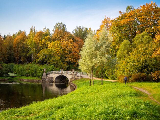 Красивый осенний пейзаж с красными деревьями и старым каменным мостом через озеро. Павловск. Россия.