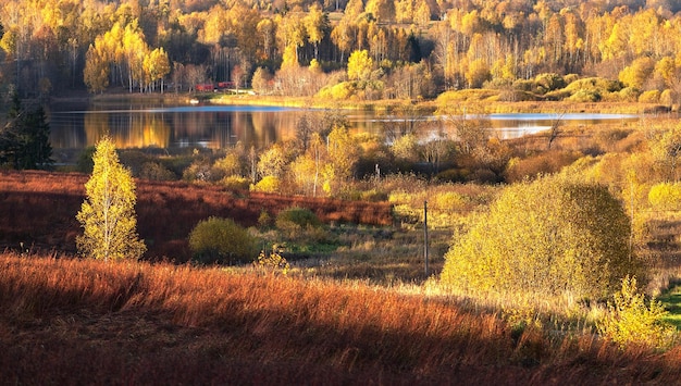 Красивый осенний пейзаж с сельским озером в окружении разноцветных деревьев