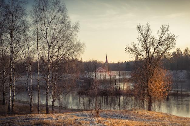 Bellissimo paesaggio autunnale con un albero vicino al vecchio palazzo. gatchina. russia.