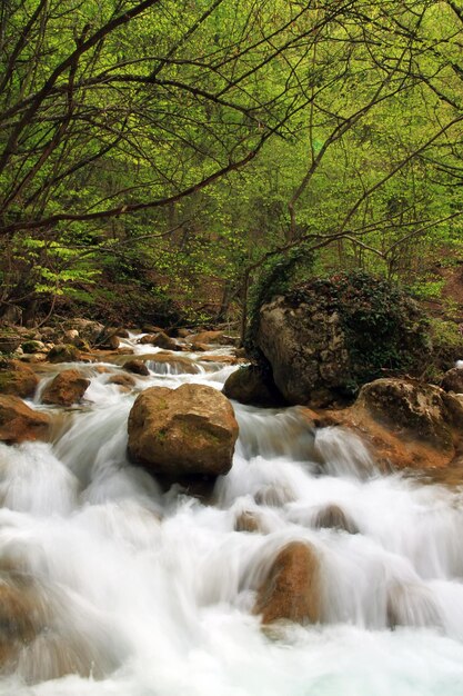 Beautiful autumn landscape with a waterfall in the autumn forest