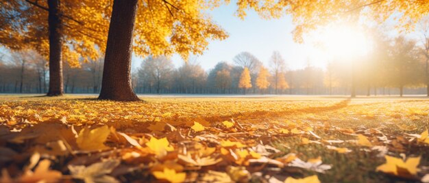 Beautiful autumn landscape with yellow leaves and sun Colorful foliage in the park Generative AI