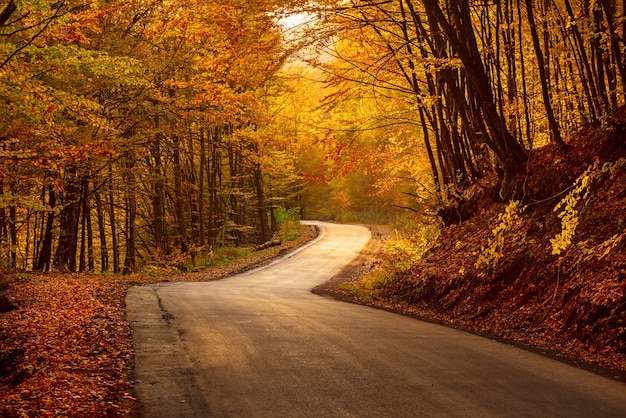 Beautiful autumn landscape