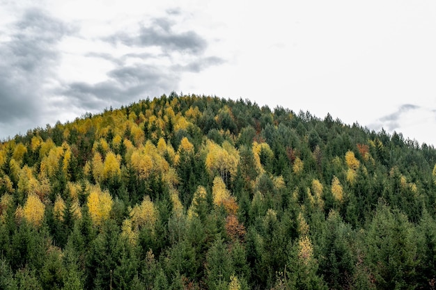 Beautiful autumn landscapes in the romanian mountains fantanele village area sibiu county romania