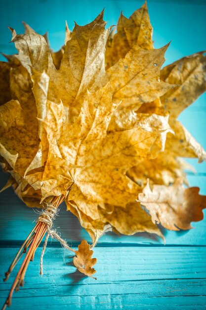 Belle foglie d'autunno sul tavolo di legno