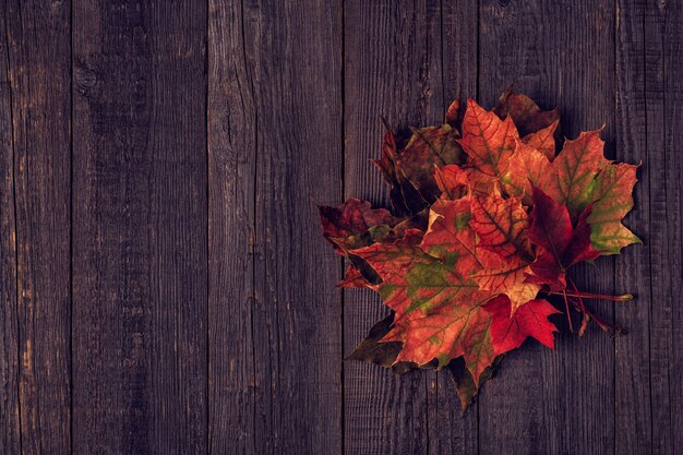 Belle foglie di autunno su un tavolo di legno