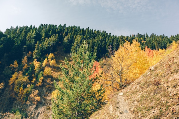 Beautiful autumn mountain landscape photo with yellow and orange color in fall season.