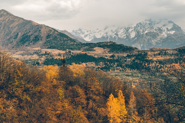 Красивое фото ландшафта горы осени с желтым и оранжевым цветом в сезоне падения.