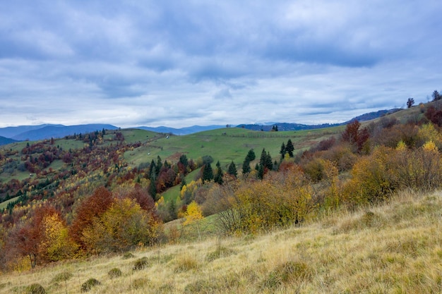美しい秋の自然と霧の霧が朝、穏やかな日差しで山の周りを流れますウクライナのカルパティア山脈の秋の季節