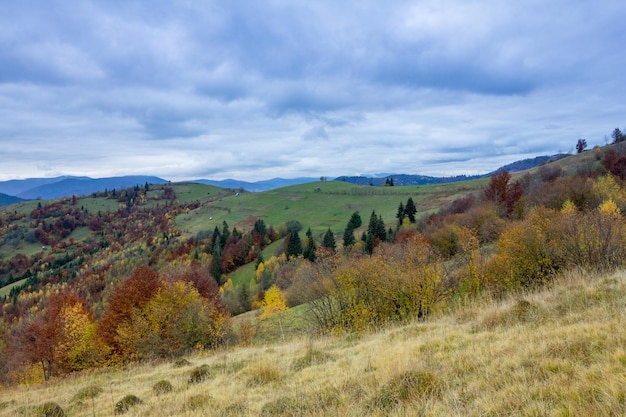 Beautiful autumn nature and mist foggy flows around the\
mountains in the morning with mild sunshine autumn season at\
carpathian mountain in ukraine