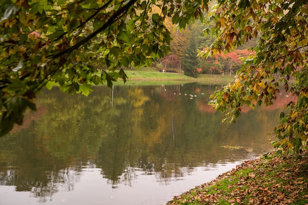 beautiful autumn park at fog weather