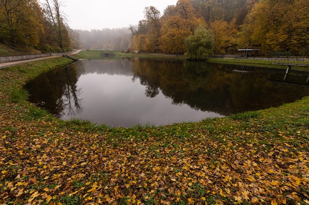 霧の天気で美しい秋の公園