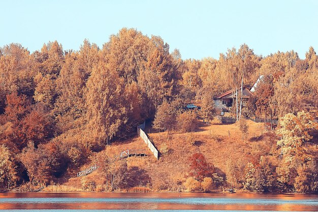 美しい秋の公園の風景/森、黄色の葉の木、秋の風景、葉の秋