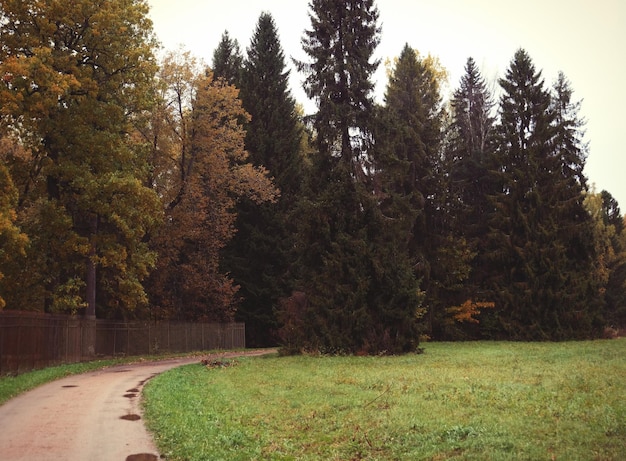 Bellissimo parco autunnale parco per il relax