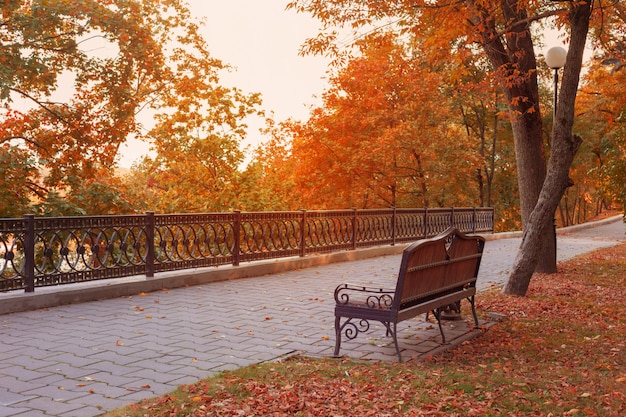 Beautiful autumn park in sunlight