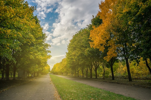 Beautiful autumn in park