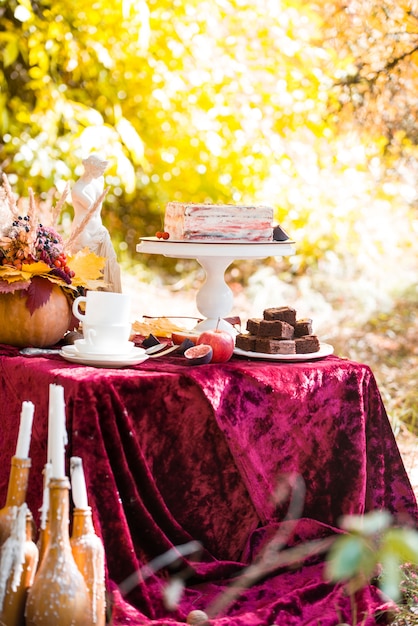 Beautiful autumn picnic in nature in the park.