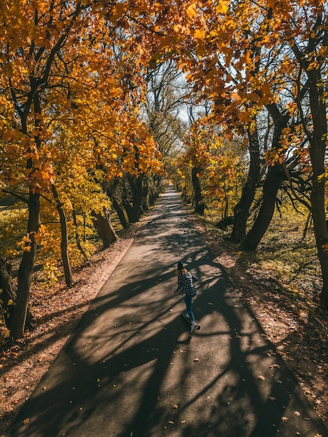 Фото Красивая осенняя дорога девушка едет на длинном доске желтой листьев