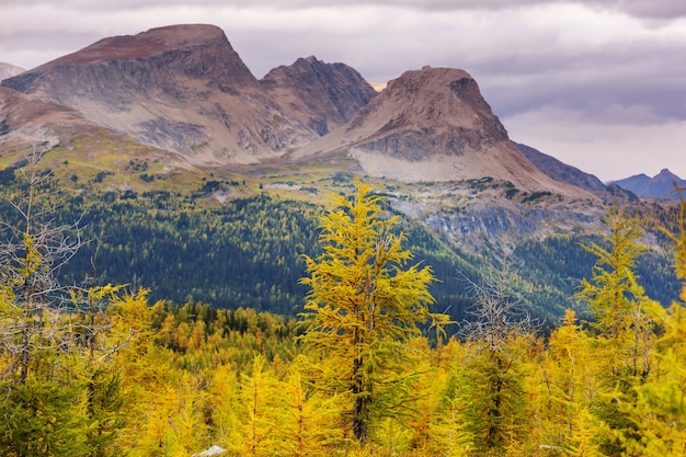 Beautiful autumn season in Canadian mountains. Fall background.