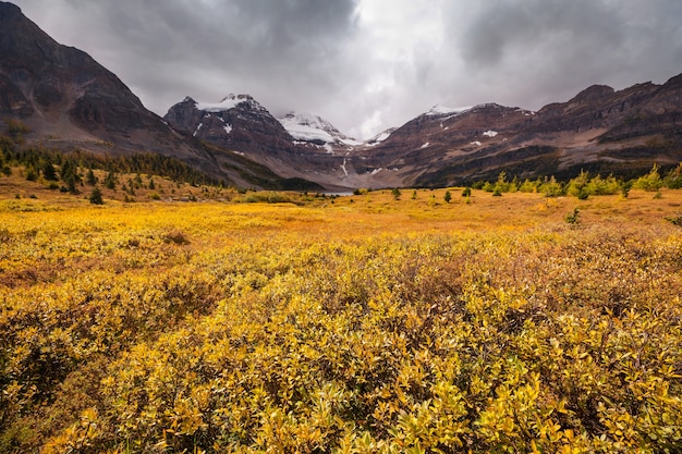 Beautiful autumn season in Canadian mountains. Fall background.