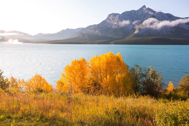 Bella stagione autunnale nelle montagne canadesi. sfondo di caduta.