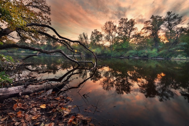 Bellissimo tramonto autunnale sul fiume nella foresta con rosso e