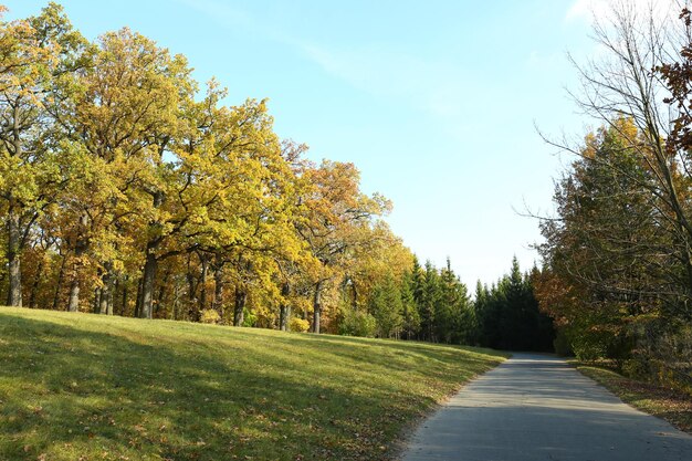 Beautiful autumn trees in park