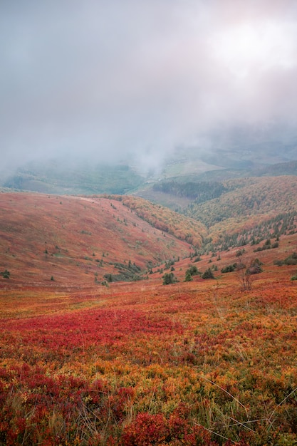 Beautiful autumn in Ukraine. Mountain hills covered red carpet leaves