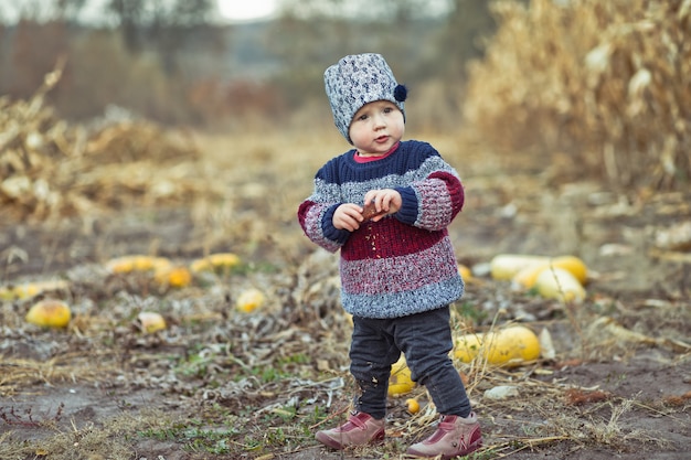 Beautiful baby in warm stylish sweater Little girl eating corn on the field. Harvest time. organic agriculture for children. Cute child on a foggy autumn evening outdoor. Happy children day concept