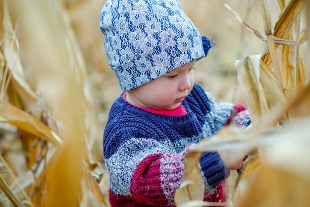 Beautiful baby in warm stylish sweater standing in middle of corn field