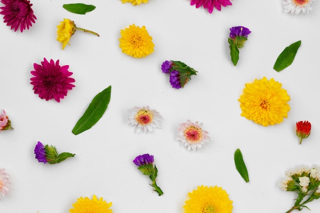 Beautiful background made of bright flower buds flat lay