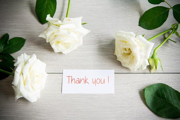 beautiful background of many white roses on a light wooden