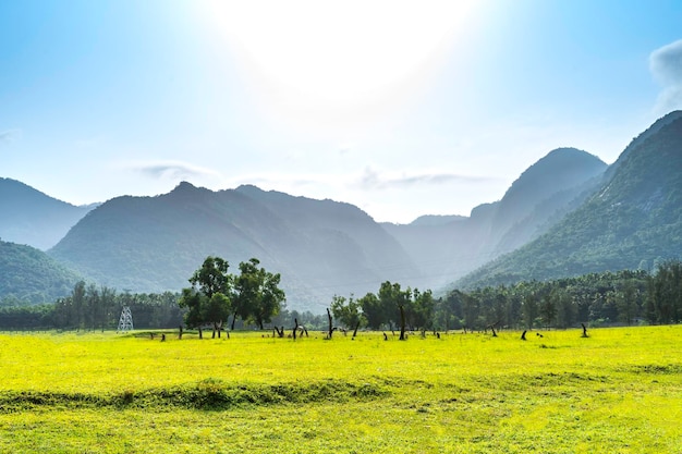 Photo beautiful background scenery in kerala india
