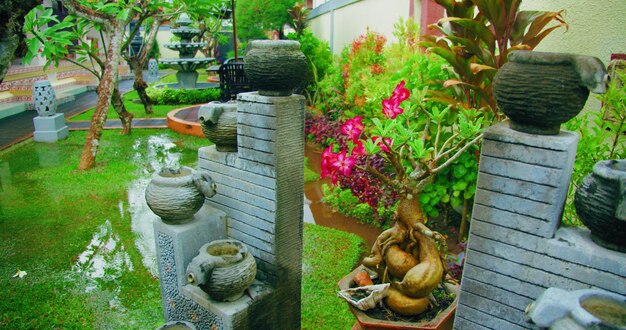 Beautiful background view of fyard with green lawn and flower pots on warm rainy day Frangipani pink blossom Wet season in Asia Garden design