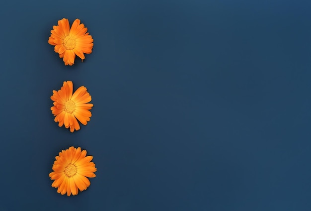 Beautiful background with orange marigold flowers pattern on dark blue backdrop