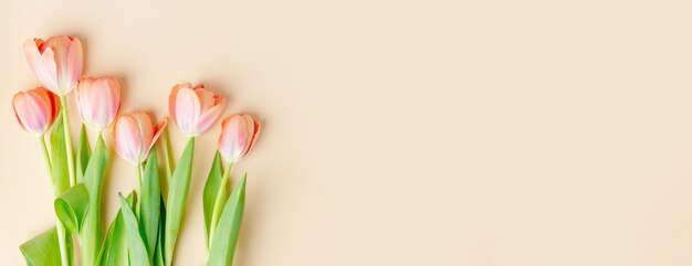 Beautiful background with spring flowers on pastel. Spring concept