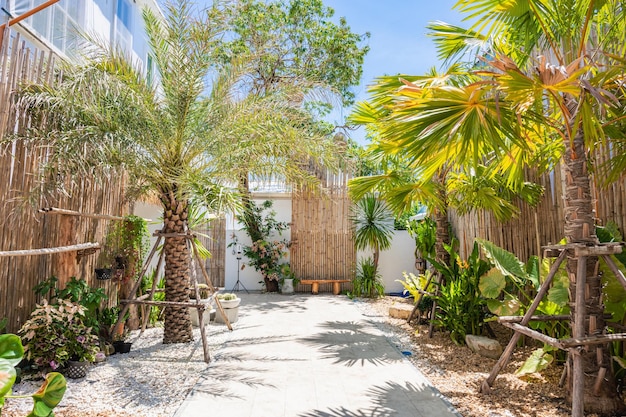 Foto bella vista di progettazione del paesaggio del cortile di alberi colorati e arbusti e rocce decorative