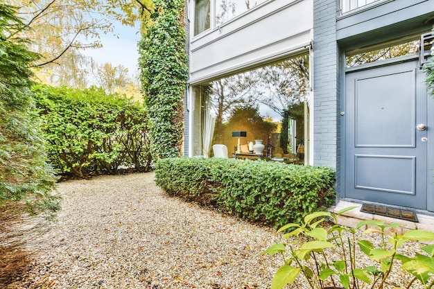 Beautiful backyard terrace full of furniture and decorative plants