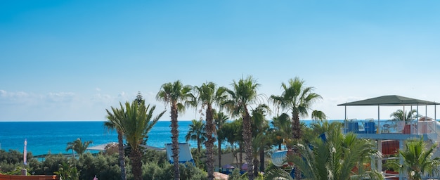 Beautiful balcony view, palms and ocean. High quality photo