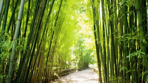 Photo beautiful bamboo tunnel generative ai