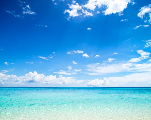 写真 美しいビーチと熱帯の海