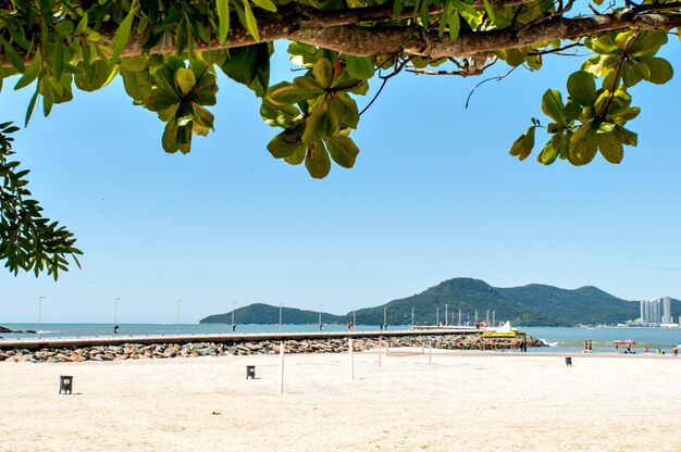 Beautiful Beach of Balneario CamboriuBrazil