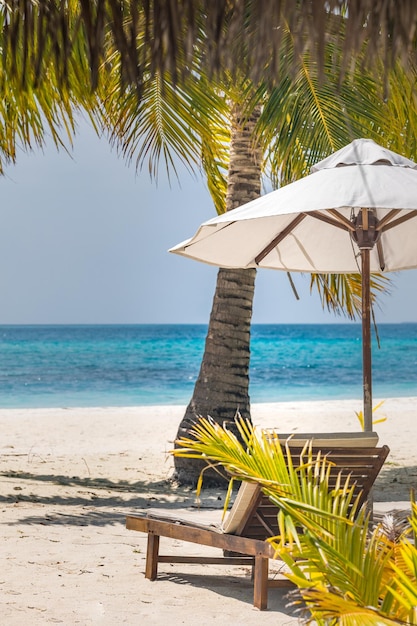 Beautiful beach. Chairs on the sandy beach near the sea. Summer holiday and vacation concept