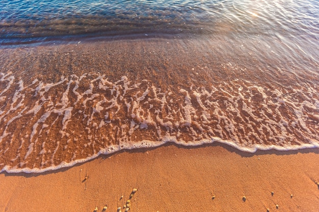 홍해 이집트의 아름다운 해변 해안