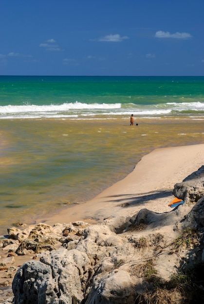 Foto bellissima spiaggia conde vicino a joao pessoa paraiba brasile