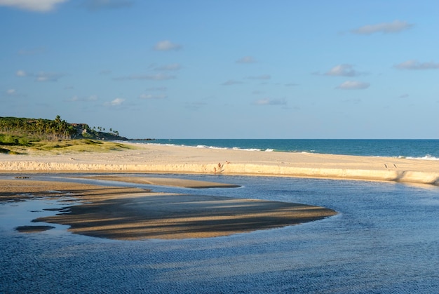 Joao Pesoa Paraiba Brazil 근처의 아름다운 해변 Conde