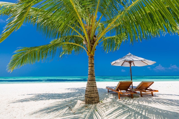 Beautiful beach. Couple chairs sandy beach near the sea. Summer holiday vacation concept, tourism