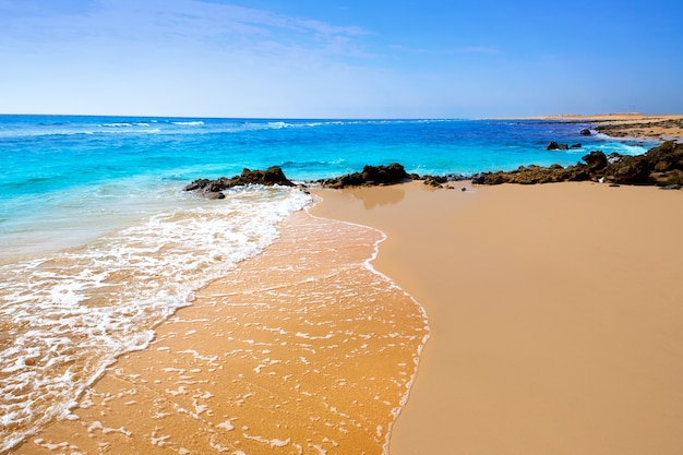 beautiful beach in fuerteventura