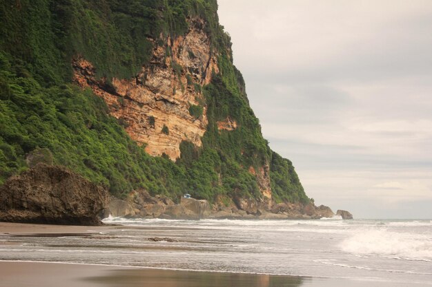 Beautiful Beach and Green Coral Cliffs